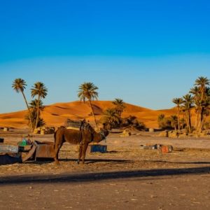3 Days Tour From Ouarzazate to Sahara Desert